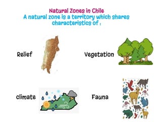 Natural Zones in Chile
A natural zone is a territory which shares
characteristics of :
Relief
climate
Vegetation
Fauna
 
