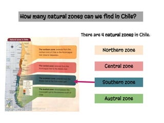 How many natural zones can we find in Chile?
There are 4 natural zones in Chile:
Northern zone
Central zone
Southern zone
Austral zone
 