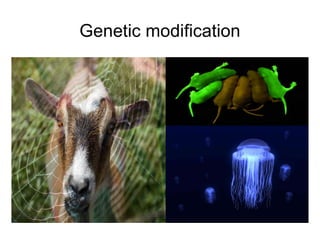 Genetic modification
 