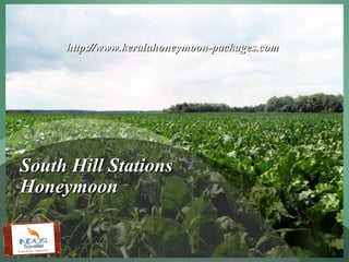 http://www.keralahoneymoon-packages.com




South Hill Stations
Honeymoon
 