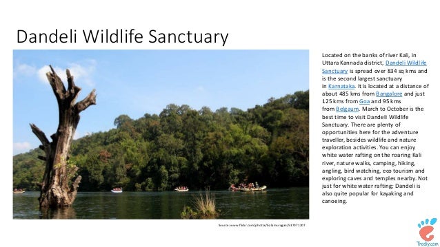 top 10 wildlife sanctuaries in india There are hundreds of national parks in india, discover where to find them at these top parks to see wildlife in india 10 top destinations in india for. top 10 wildlife sanctuaries in india There are hundreds of national parks in india, discover where to find them at these top parks to see wildlife in india 10 top destinations in india for.