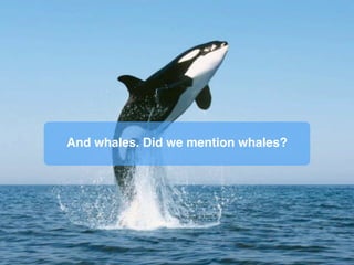 Three respected post-secondary institutions,
including one of Canada’s
leading research universities
in neuroscience,
medical physics,
nanomaterials,
biotechnology,
biomedical engineering,
and
mathematical modelling of disease dynamics…
(hang on, almost there)
 