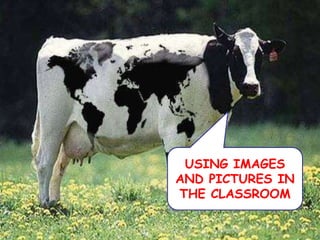 USING IMAGES AND PICTURES IN THE CLASSROOM<br />