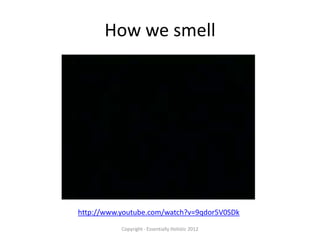 How we smell




http://www.youtube.com/watch?v=9qdor5V0SDk
           Copyright - Essentially Holistic 2012
 