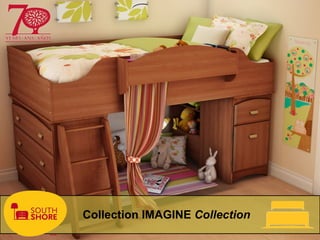 Collection IMAGINE Collection
 