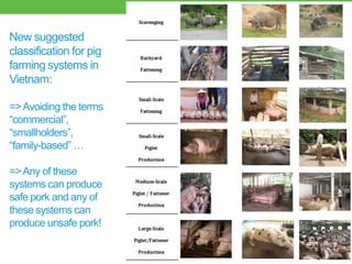 Good practices for pork value chains in emerging countries