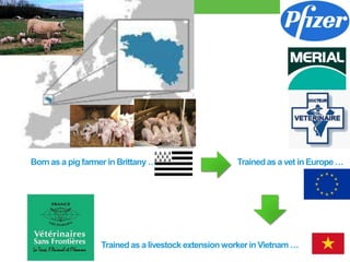 Good practices for pork value chains in emerging countries