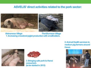 Good practices for pork value chains in emerging countries