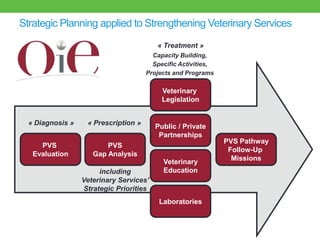 Good practices for pork value chains in emerging countries