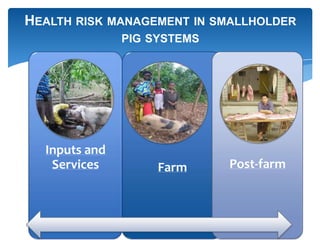 Farming systems perspectives: lessons for managing health risks  in smallholder pig systems