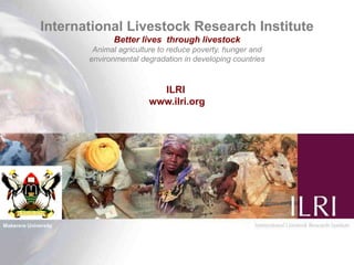 Farming systems perspectives: lessons for managing health risks  in smallholder pig systems