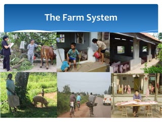 Farming systems perspectives: lessons for managing health risks  in smallholder pig systems