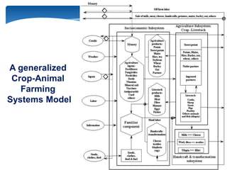 Farming systems perspectives: lessons for managing health risks  in smallholder pig systems