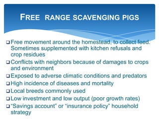 Farming systems perspectives: lessons for managing health risks  in smallholder pig systems