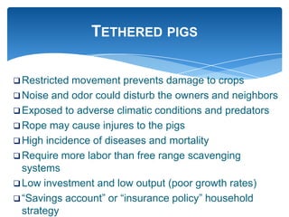 Farming systems perspectives: lessons for managing health risks  in smallholder pig systems