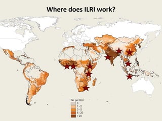 ILRI in Asia and the CGIAR Research Programs