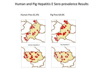Integrated assessment and management of pig health risks – lesson’s learnt