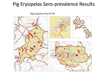 Integrated assessment and management of pig health risks – lesson’s learnt