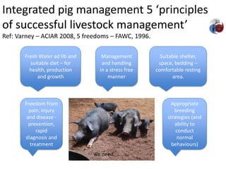 Integrated assessment and management of pig health risks – lesson’s learnt