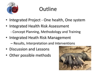 Integrated assessment and management of pig health risks – lesson’s learnt