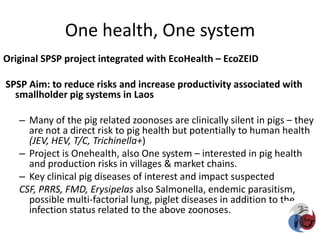 Integrated assessment and management of pig health risks – lesson’s learnt