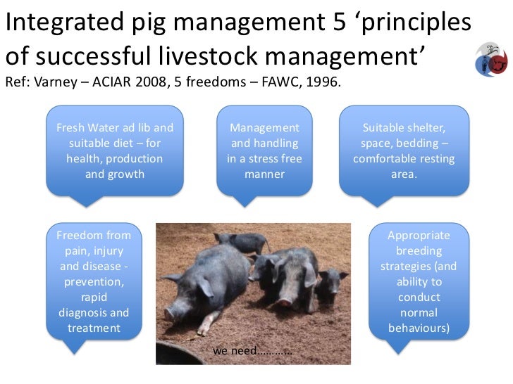 Integrated assessment and management of pig health risks lesson’s l…
