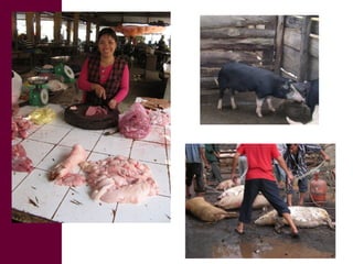 Managing risks in emerging pork markets: Safe food in informal markets