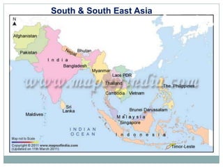 Sharing lessons from pig value chains: South Asia and South East Asia