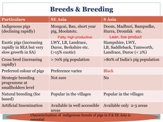 Sharing lessons from pig value chains: South Asia and South East Asia