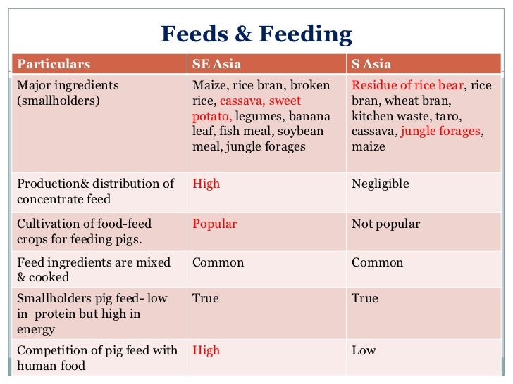 Sharing Lessons From Pig Value Chains South Asia And South East Asia