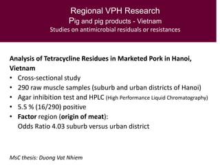 Veterinary public health research in Southeast Asia:  lessons for managing health risks in smallholder  pig systems