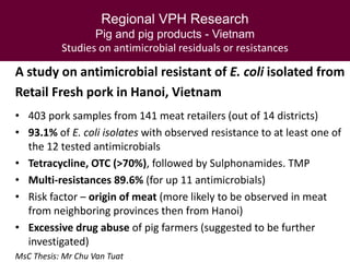 Veterinary public health research in Southeast Asia:  lessons for managing health risks in smallholder  pig systems