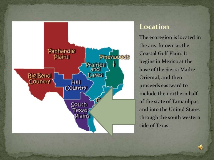 South texas plains