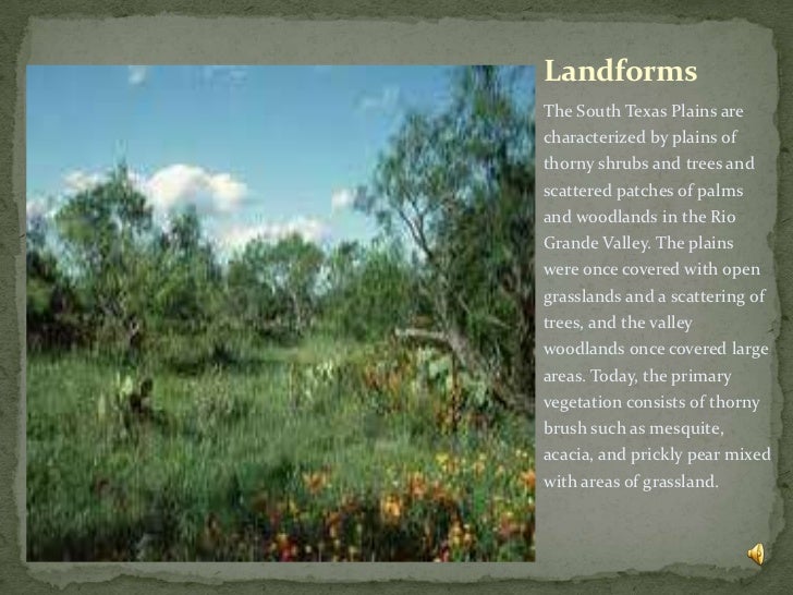 The Woodlands Texas Flooding >> South texas plains The Woodlands Texas Flooding >> South texas plains