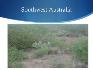 Southwest Australia
 
