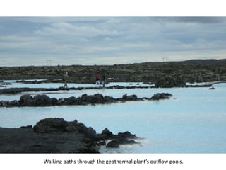 Walking paths through the geothermal plant’s outflow pools.