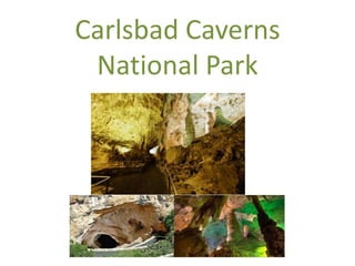 Carlsbad Caverns
National Park
 
