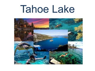 Tahoe Lake
 