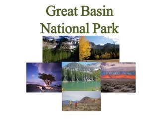 Great Basin
National Park
 