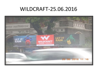 WILDCRAFT-25.06.2016
 