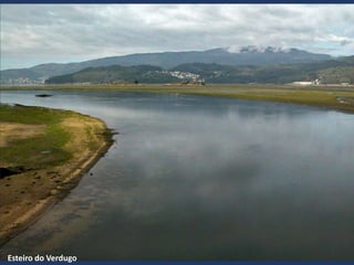 Esteiro do Verdugo
 