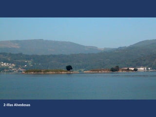 2-Illas Alvedosas
 