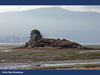 Unha Illas Alvedosas
 