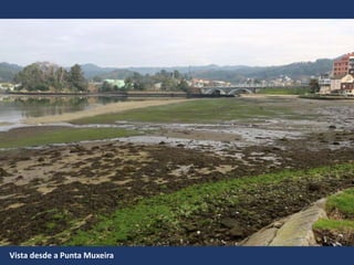 Vista desde a Punta Muxeira
 