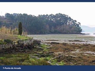 7-Punta de Arcade
 
