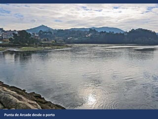 Punta de Arcade desde o porto
 