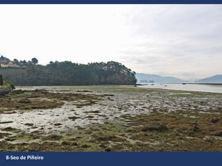 8-Seo de Piñeiro
 