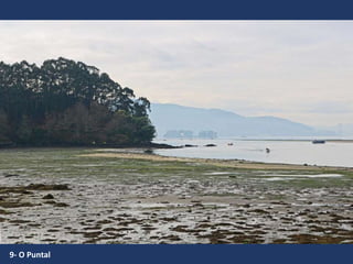 9- O Puntal
 