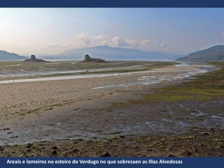 Areais e lameiros no esteiro do Verdugo no que sobresaen as Illas Alvedosas
 