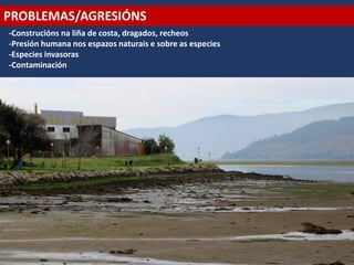 PROBLEMAS/AGRESIÓNS
-Construcións na liña de costa, dragados, recheos
-Presión humana nos espazos naturais e sobre as especies
-Especies invasoras
-Contaminación
 